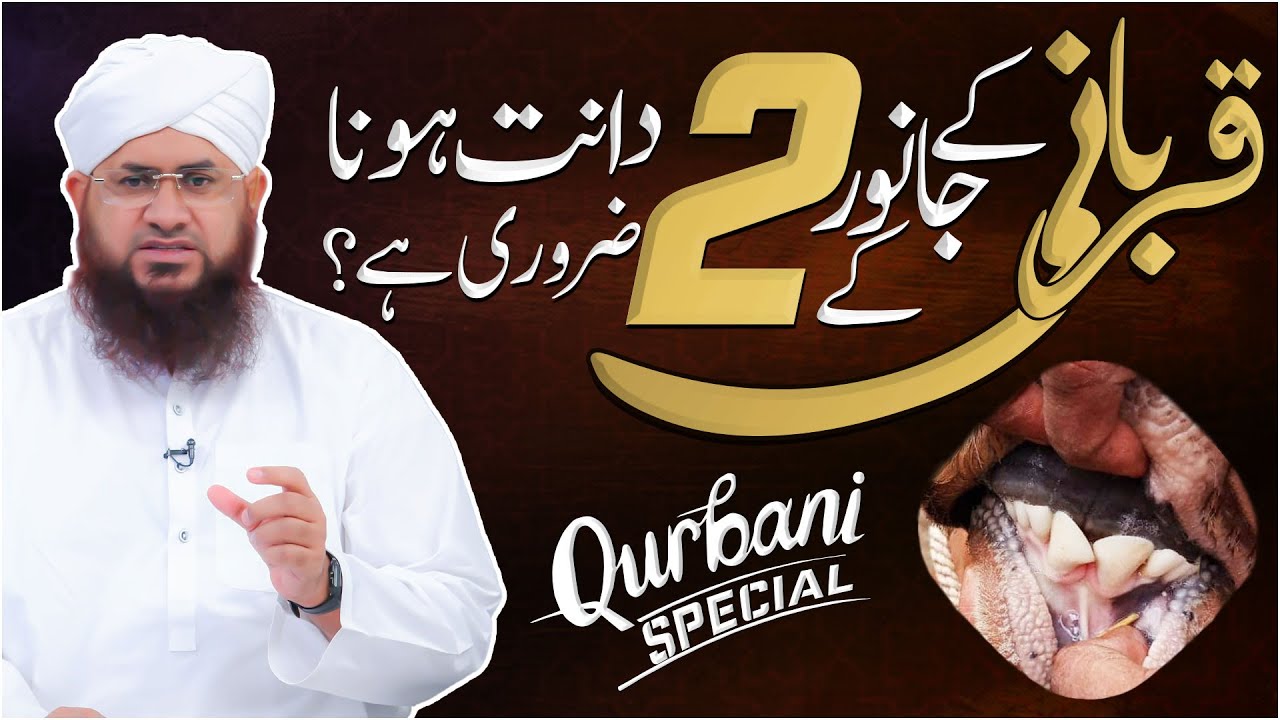 Rabi ul Awal Ki Mubarakbaad Dene Se Jannat Wajib Ho Jati Hai?